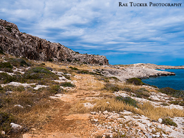 Cyprus Landscape