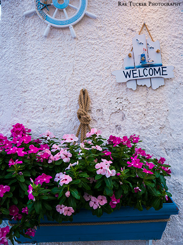 Pink flowers and a blue and white welcome sign