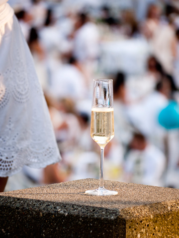 A glass of champagne in the light of the setting sun