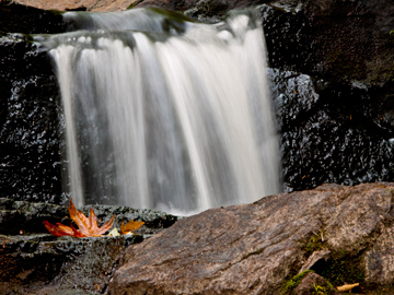 A fallen leave sits on the rocks of a wonderful.