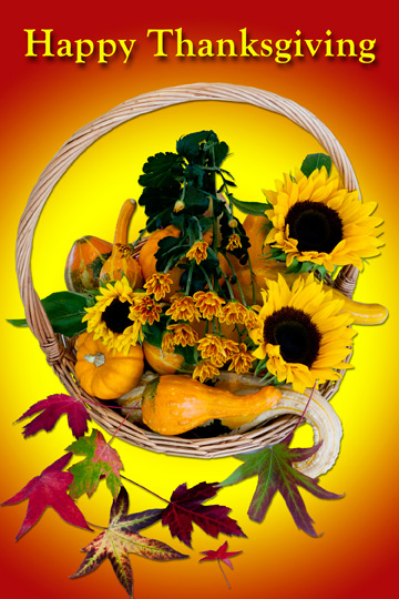 Happy Thanksgiving - A Thanksgiving Day Greeting Card