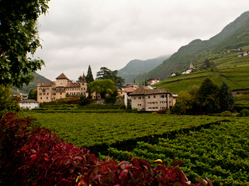 Vineyards and autumn foliage surround a castle in South Tyrol, Italy
