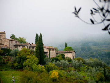 Overlooking a hillside in Tuscany, Italy