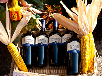 An autumn display of bottles of wine and maise.