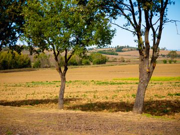 Autumn in the Tuscan countryside.