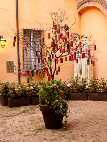 A small tree is decorated with soda cans for the holiday season in Bologna, Italy.