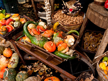 Autumn produce displayed in Campo di Fiori, Rome, Italy