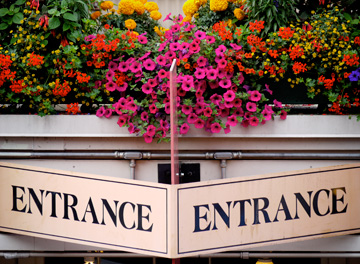 An entrance sign adorned with flowers in Seattle, Washington