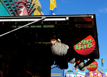 Roll a Ball carnival game