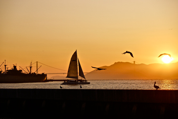 The sun setting over the bay, a sailboat, pelicans, Golden Gate Bridge and a freighter