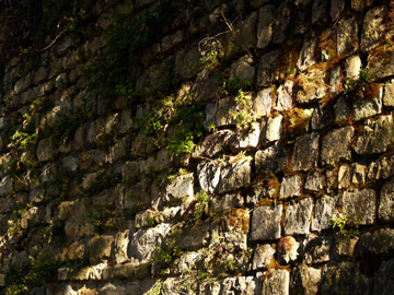 A rock wall in Arezzo, Italy