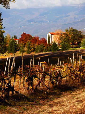Tuscan countryside outside of Bucines, Italy