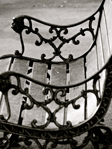 A wrought-iron and wooden bench in Stanley Park in Vancouver, Canada