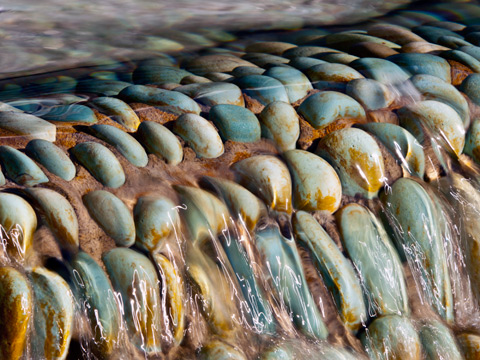 Water running over rocks in a fountain