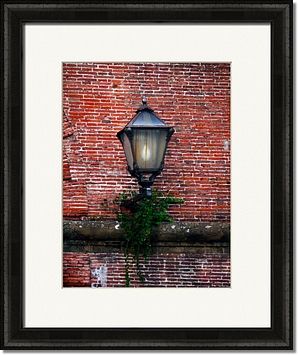Framed Prints