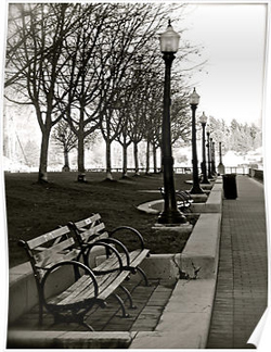 Waterfront Park Posters
