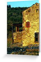 Tuscan Farm House Greeting Cards