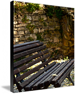 Park bench Canvas Prints