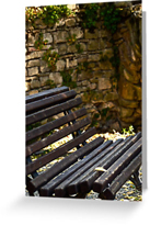 Park bench Greeting Cards