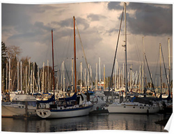 Vancouver Harbour Posters
