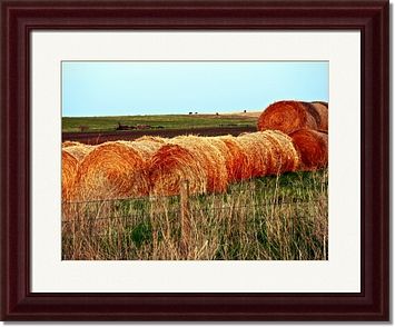 Prairie Framed Prints