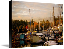 Autumn Stanley Park Harbour Canvas Prints