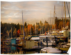 Autumn Stanley Park Harbour Posters