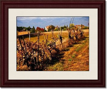 Toscana Framed Prints