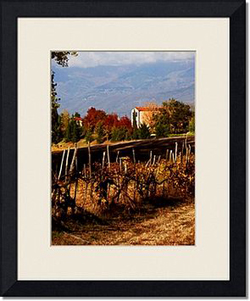 Framed Prints