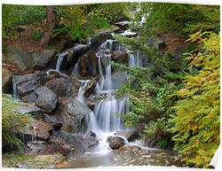 Waterfall Posters