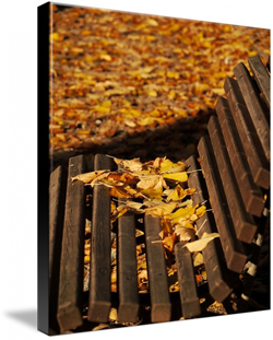 Autumn Canvas Prints