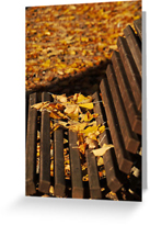 Autumn Greeting Cards