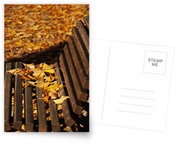Autumn Postcards