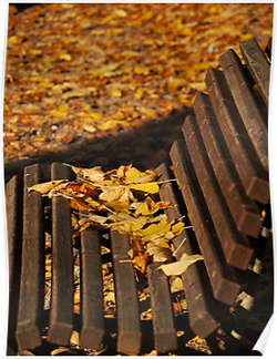 Autumn Posters