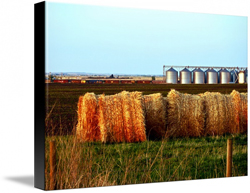Prairie Canvas Prints