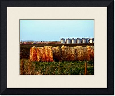 Prairie Framed Prints