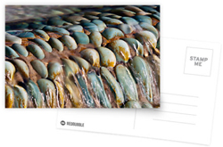 Postcards