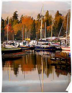 Autumn Harbour Posters