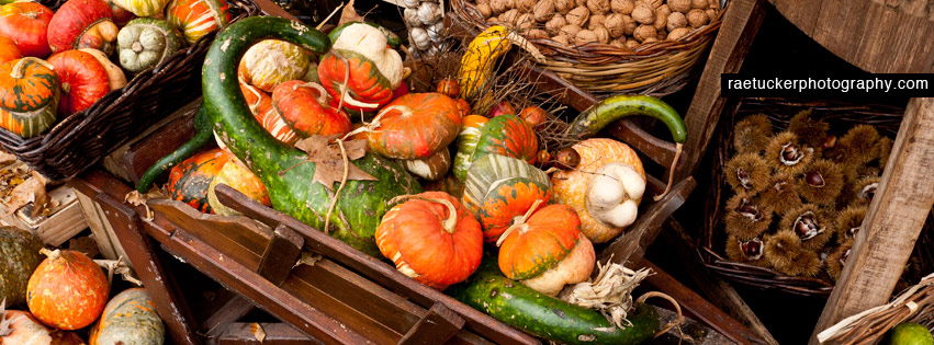 Autumn harvest free facebook banner