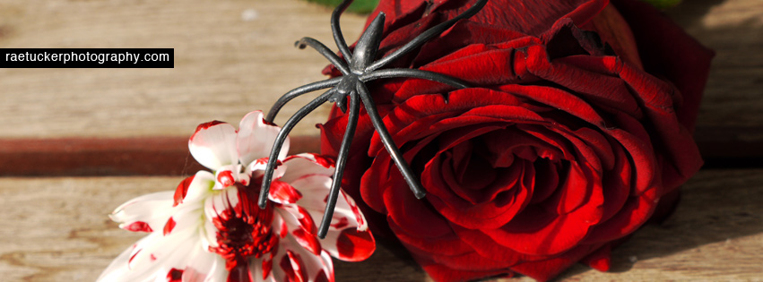 Spider and Flowers Free Facebook Banner