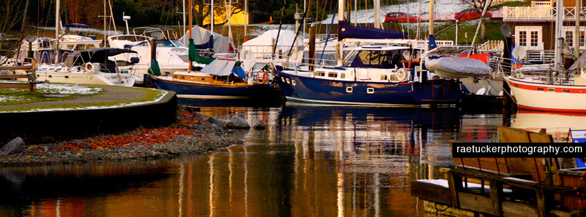 Stanley Park Vancouver Free Facebook Timeline Banner