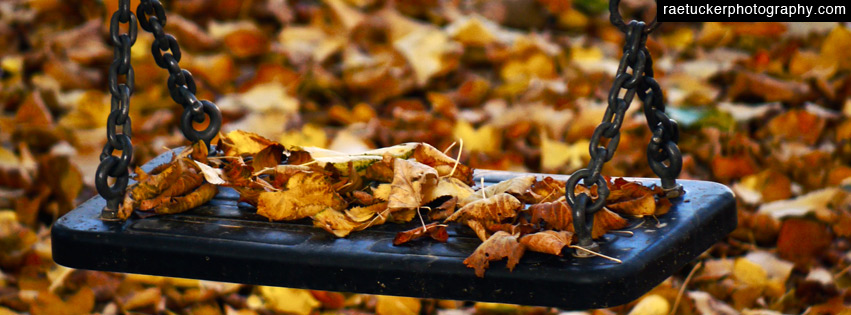 Autumn Swing Free Facebook Banner