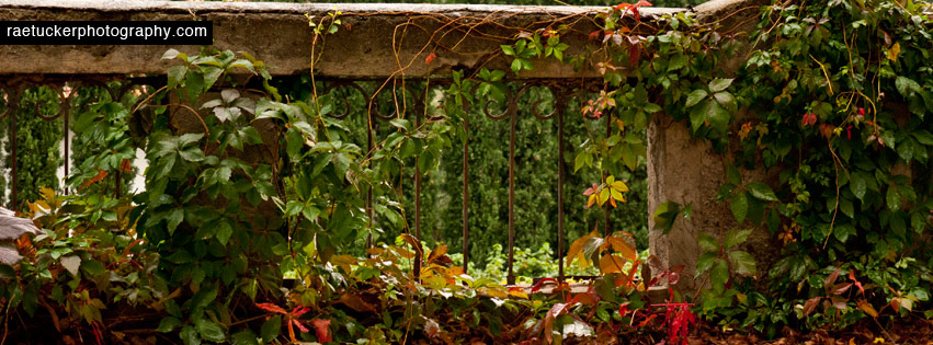 Bolzan, Italy Autumn Free Facebook Banner